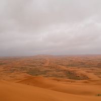 malsud_