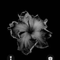 xln089