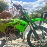 the_beastingreen
