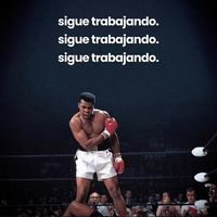 manuel_bravo18