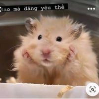 Cá Yêu