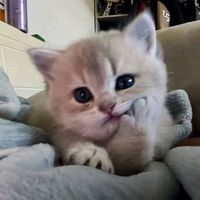 sypunchyyy