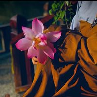 chitt_20_08