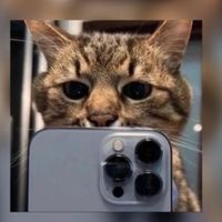 suara asli - Ganzzmodekroco