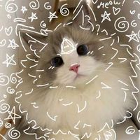 vitoria.lima.26072025