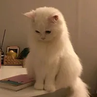 صدقه جاريه لي ولكم