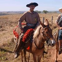 ricardomacedo1036
