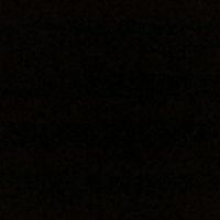 brigz_1