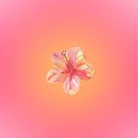 __user1509
