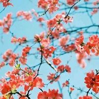 zhen.zhangd