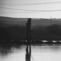 الصوت الأصلي