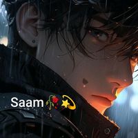 saam13478