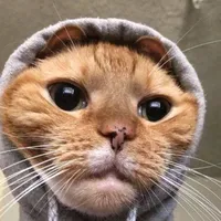 original sound - zaredclassic