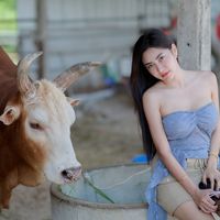 praewpraew17_43