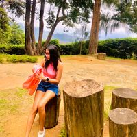 alice_n_the_wonderland