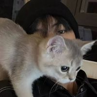 เสียงต้นฉบับ - 爱情