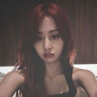 sleekistae