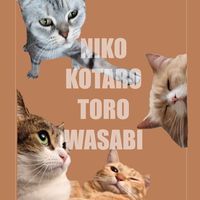 nikoandkotatorowasabi