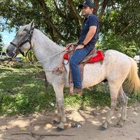 lmcruzlobo