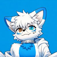 kitsan_oficial