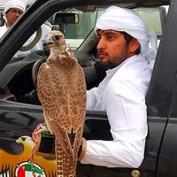 original sound - _httpsdubai