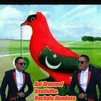 original sound - jabadhu6