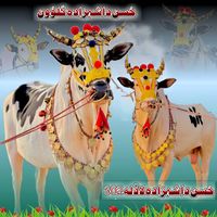 kallu_1official