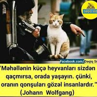orijinal ses