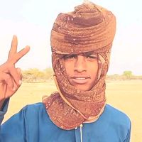الصوت الأصلي
