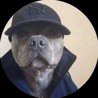 pepeizi_