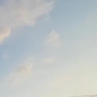 ひょっこりはん