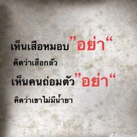 เสียงต้นฉบับ - เสือ สิ้น ลาย ภูเก็ต