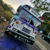 buses38c