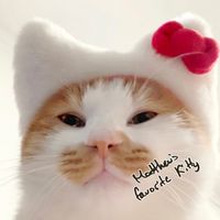 オリジナル楽曲 - Kitty ྀི