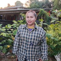 เสียงต้นฉบับ - พี่ทราย
