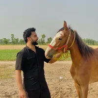 original sound - imansoorahmad1