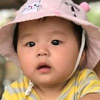 nhạc nền - Thắm Tươi538