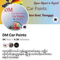 dmcarpaints