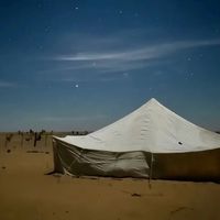 الصوت الأصلي