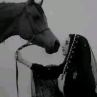 .mado.n.seedi0