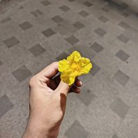 mehedi..official..16