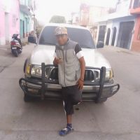 eneaflores