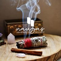 nauzasmx