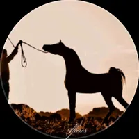 original sound - 3boelshooo2