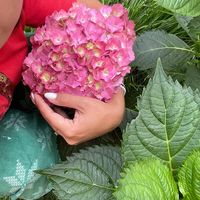 queengarden.ru