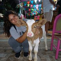 vanesa.ricaurte.8