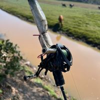 เสียงต้นฉบับ - ເສື້ອຜ້າຕົວໂປຣດ