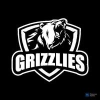 vcgriz_zliess