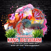 kangbettafarm