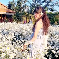 nhạc nền - Cô Phương làm Cafe và Hoa Giấy